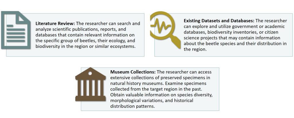 To illustrate how a researcher can study the biodiversity of a specific group of beetles in a particular region using secondary research